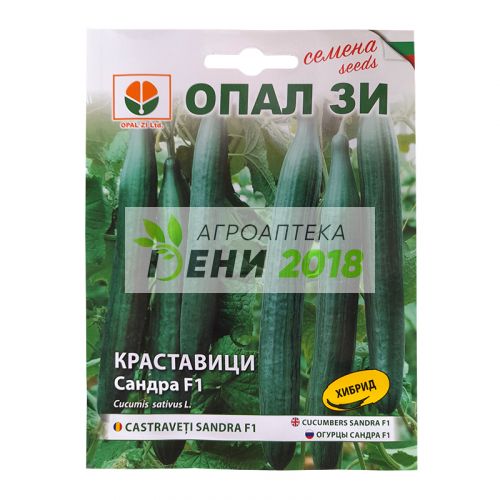 Краставици Сандра F1