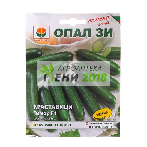 Краставици Тимор F1