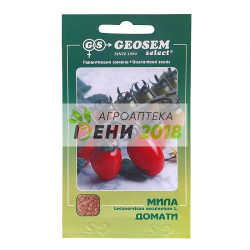 Домати сорт Мила