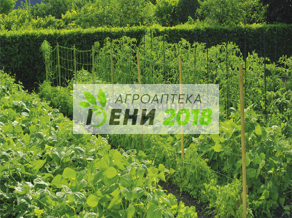 Мрежа за краставици - 1.70 - 20м