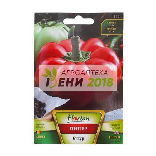 Пипер Букур-1 г