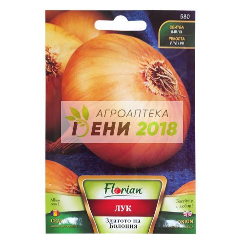 Лук Златото на Болония-2г