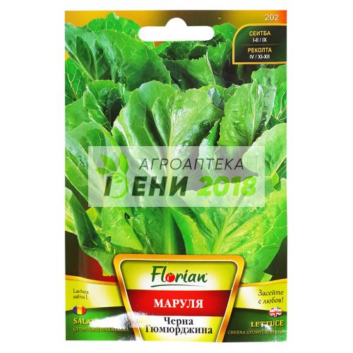 Маруля Черна Гюмюрджинска-2г