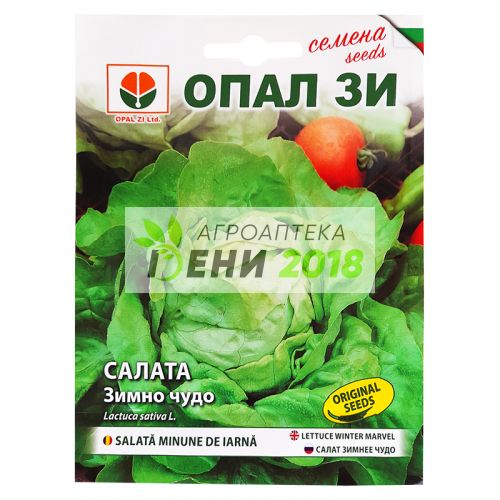 Салата Зимно чудо