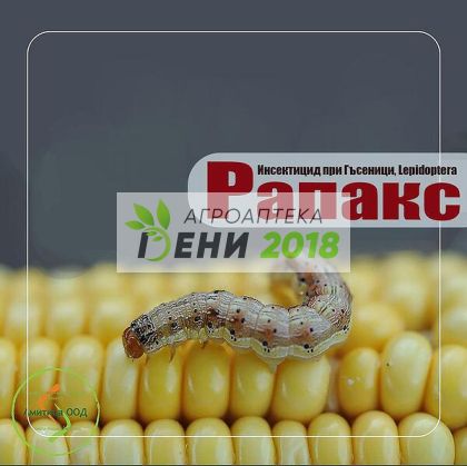 Рапакс  100 мл