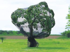 Плетена мрежа срещу птици - размер 5х12м