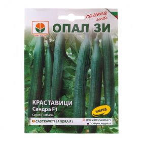 Краставици Сандра F1