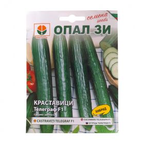 Краставици Телеграф F1