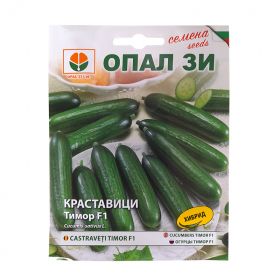 Краставици Тимор F1