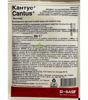 Кантус 20г