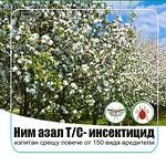 Ним Азал Т/C - Инсектицид - 100мл