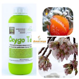 Скудо Терм - 300 мл