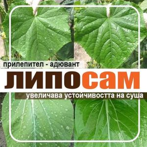 Липосам - 250мл