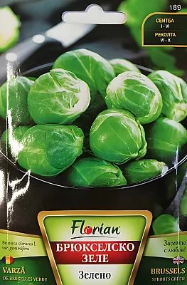 Брюкселско зеле Росела / Гръонингер / - 3г