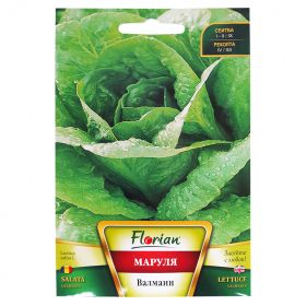 Маруля Валмаин-2г