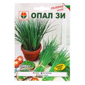 Шивес луков