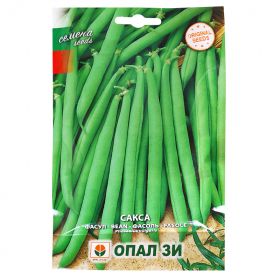 Фасул Сакса-зелен,кръгъл,нисък.