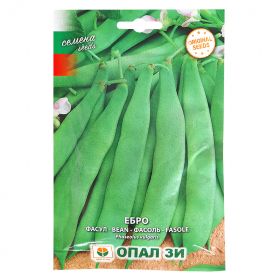 Фасул Ебро-зелен,плосък,нисък.