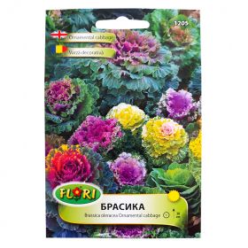  Брасикка (Дкоративно зеле)