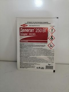 Делегат 250 ВГ - 3 г
