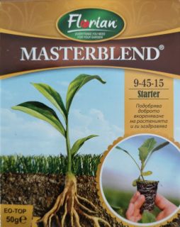 Мастербленд за коренова система 50 г