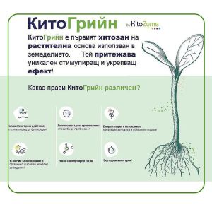 Кито Грийн Мастър 50 г