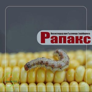 Рапакс  100 мл